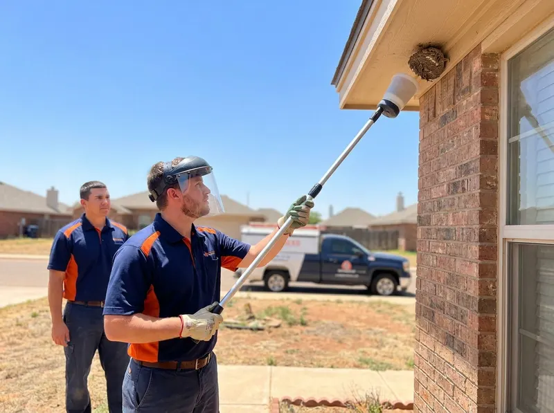 Wasp & Stinging Insect Removal in Lubbock, TX